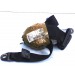 CEINTURE AVG